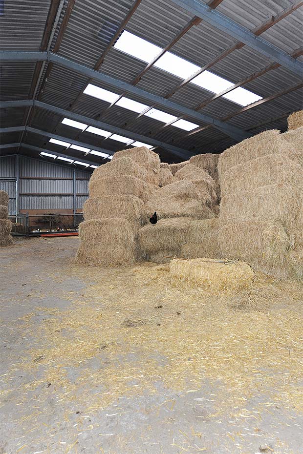 Foto aus der Fotogruppe 