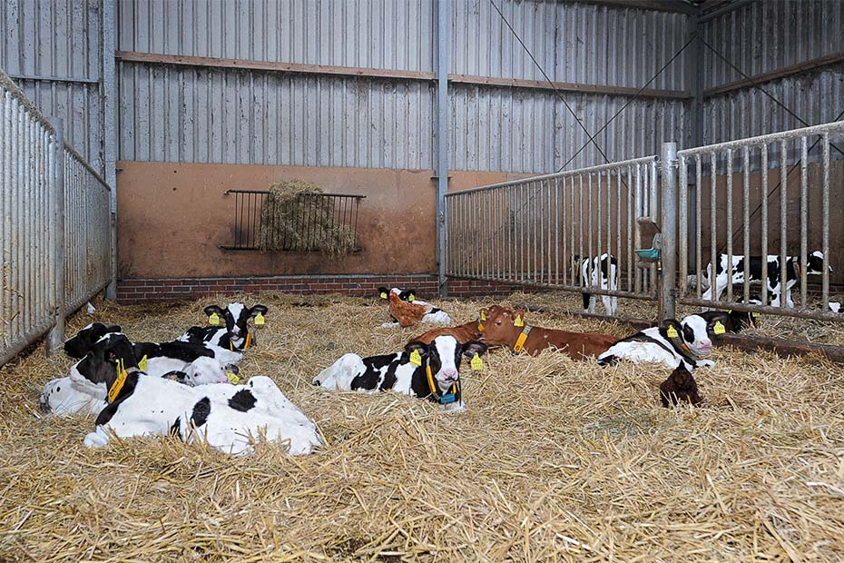 Foto aus der Fotogruppe 