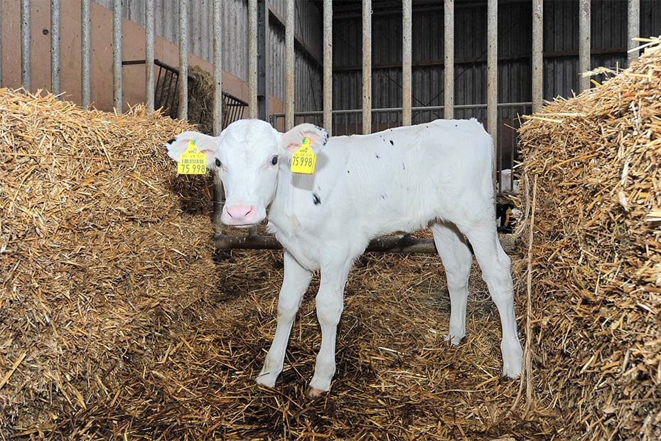 Foto aus der Fotogruppe 