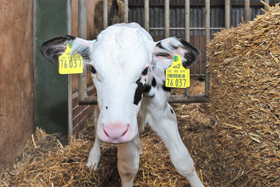 Foto aus der Fotogruppe 