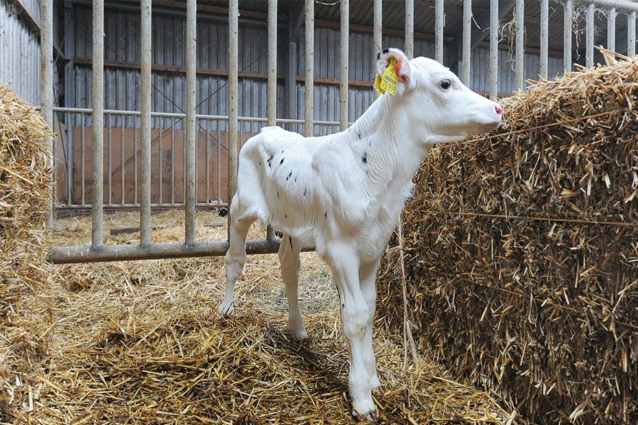 Foto aus der Fotogruppe 