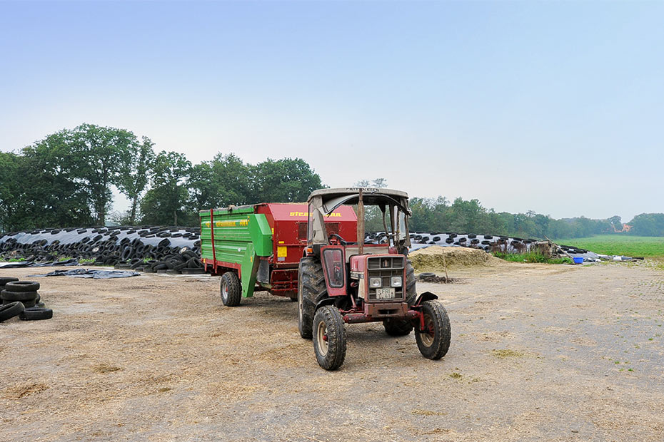 Foto aus der Fotogruppe 